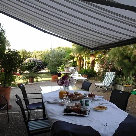 Les Roses Trémières