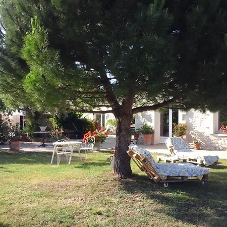 Couette-café Les Roses Trémières